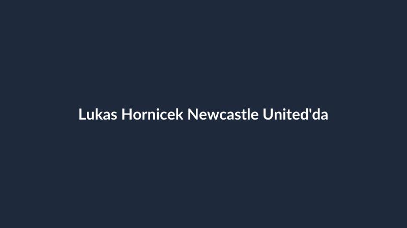 Lukas Hornicek Newcastle United'da
