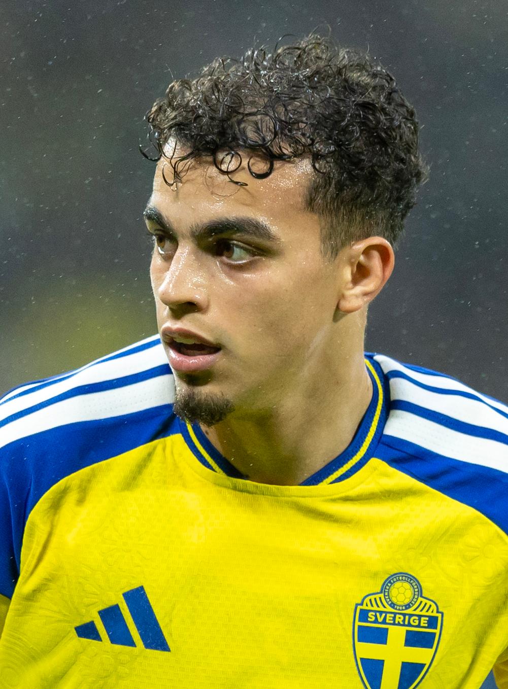 Fenerbahçe'nin Orta Saha Transfer Adayları Belli Oldu